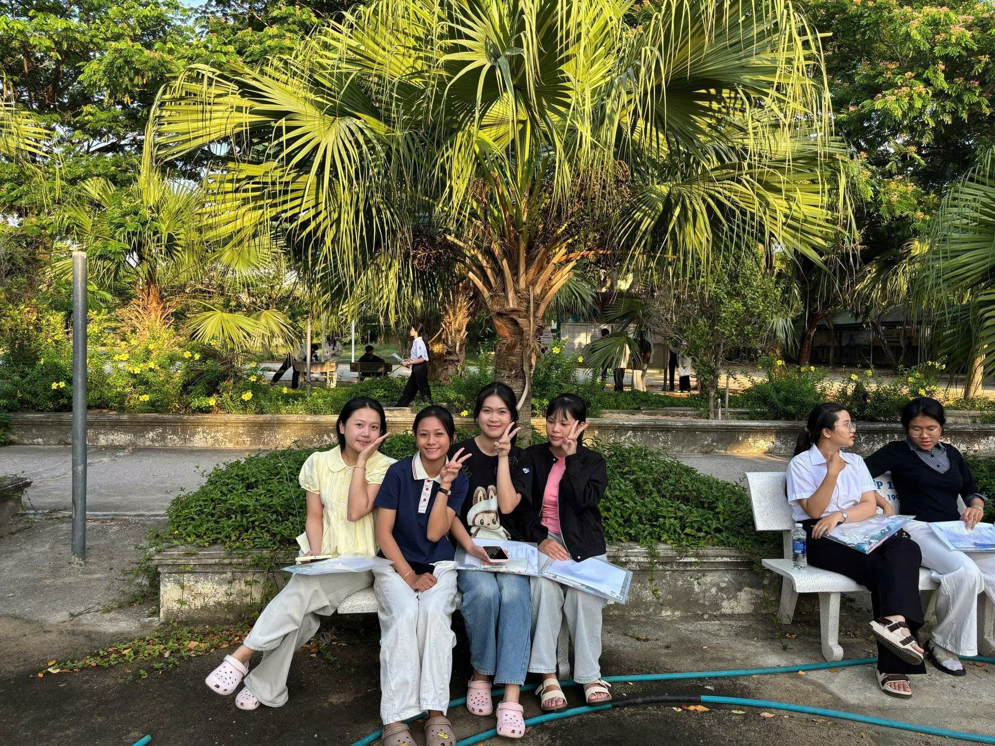 St Dgnl Dhqg Hcm 14