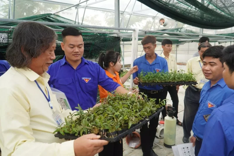 Trường Đại học Quang Trung trao tặng 1.500 cây lan giống cho thanh niên 3 Trường Đại học Quang Trung trao tặng 1.500 cây lan giống cho thanh niên