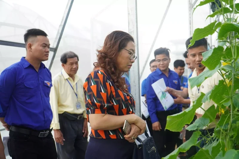 Trường Đại học Quang Trung trao tặng 1.500 cây lan giống cho thanh niên 4 Trường Đại học Quang Trung trao tặng 1.500 cây lan giống cho thanh niên