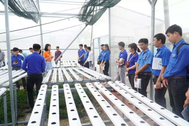 Trường Đại học Quang Trung trao tặng 1.500 cây lan giống cho thanh niên 5 Trường Đại học Quang Trung trao tặng 1.500 cây lan giống cho thanh niên