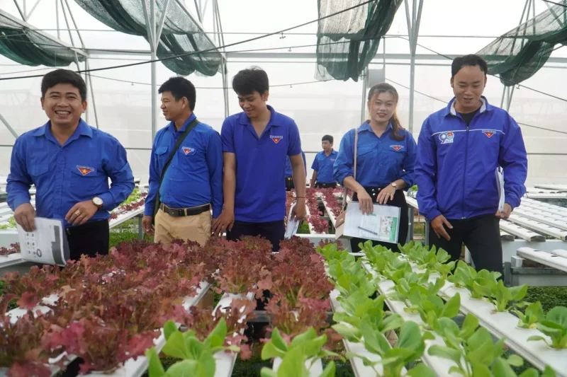 Trường Đại học Quang Trung trao tặng 1.500 cây lan giống cho thanh niên 7 Trường Đại học Quang Trung trao tặng 1.500 cây lan giống cho thanh niên