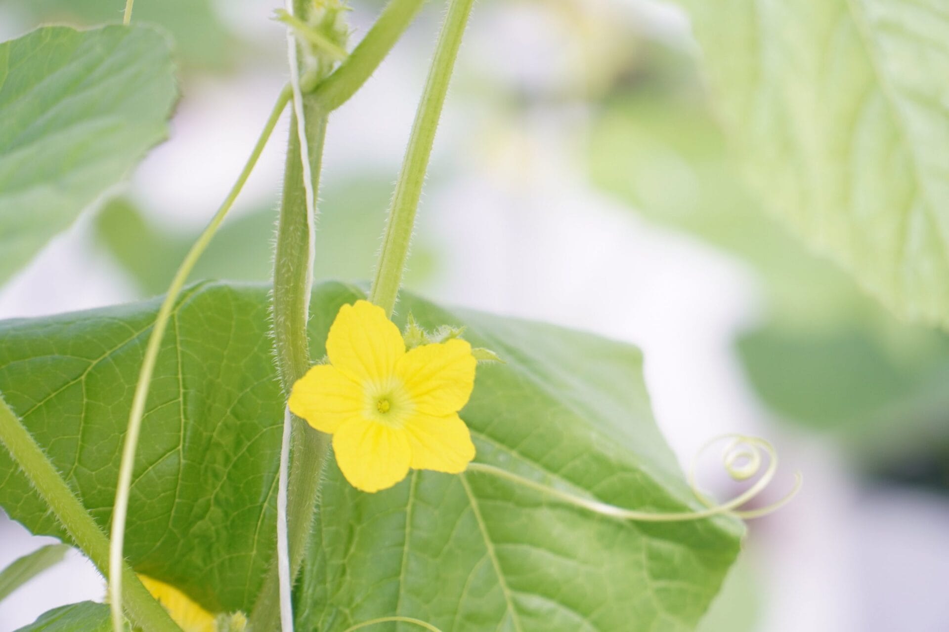 48f162abae985ec60789 scaled