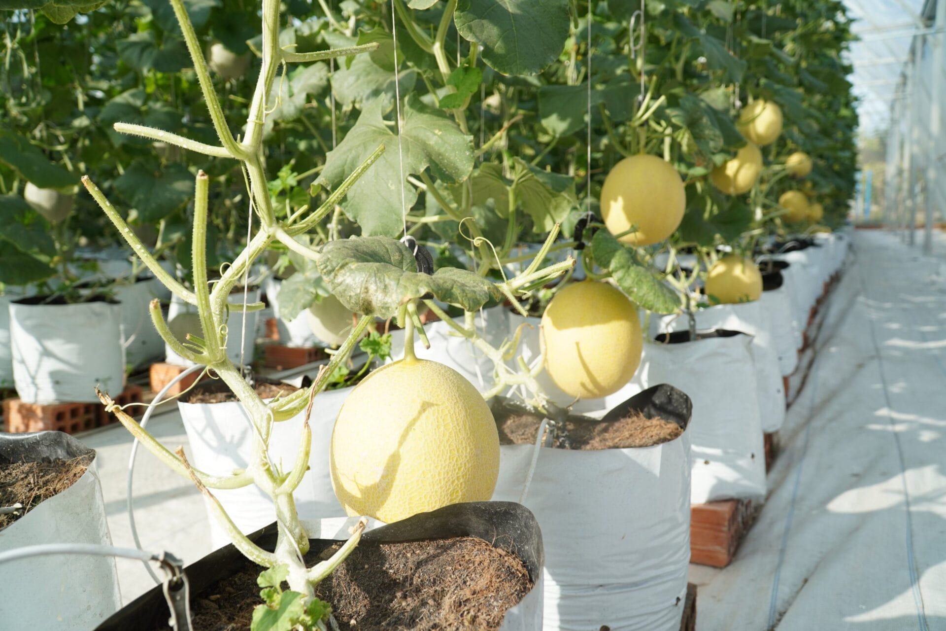 5cfb3a12f621067f5f30 scaled