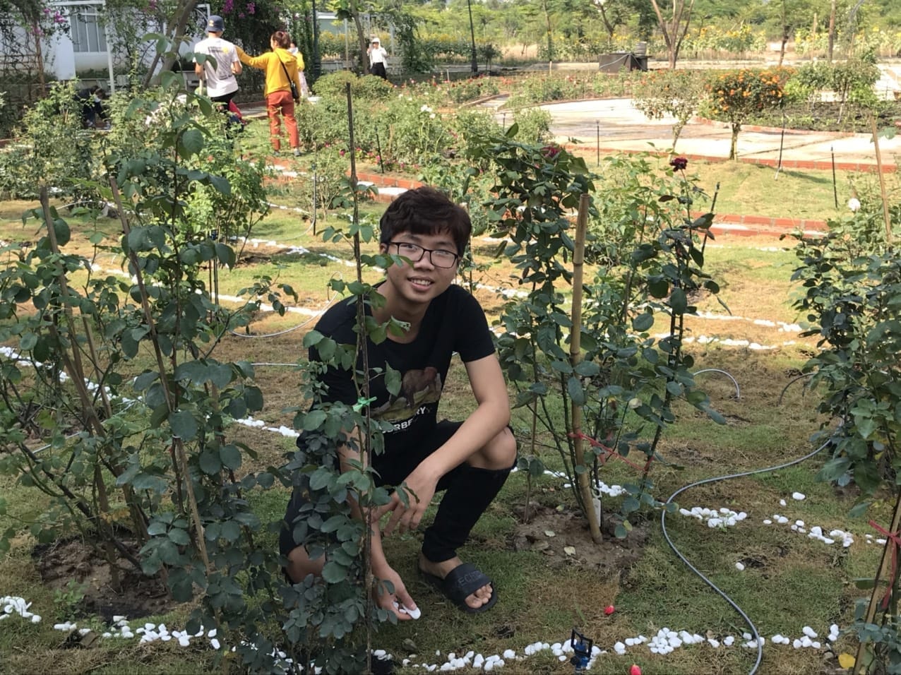 261faf6a52dca182f8cd